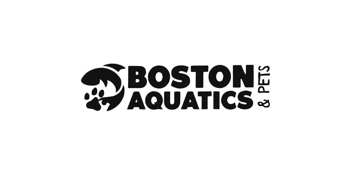 Boston Aquatics & Pets