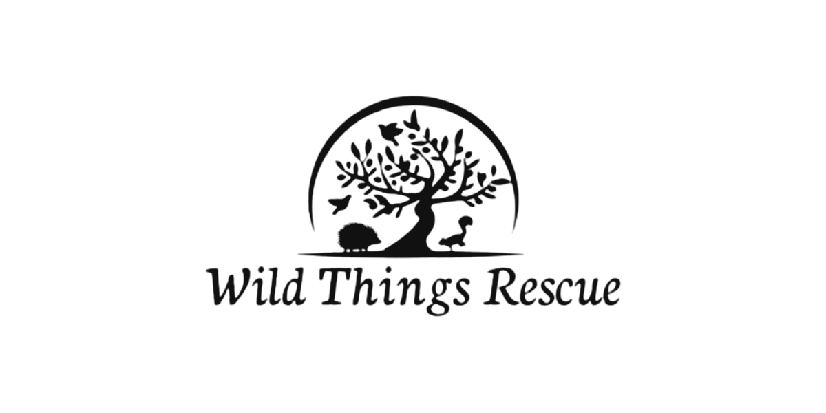 Wild Things Rescue